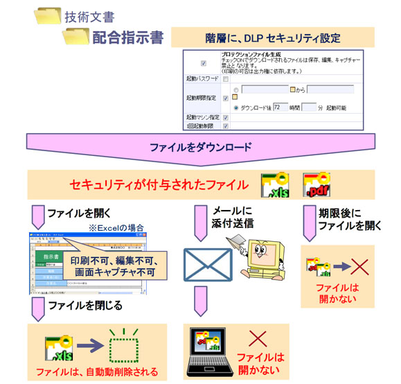 DLPオプション