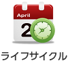 ライフサイクル
